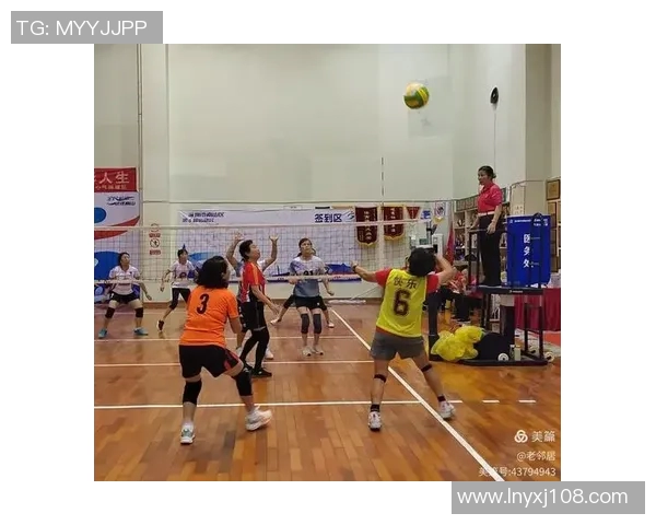 深圳排球队荣登排球比赛经验排行榜首位引领全国水平提升